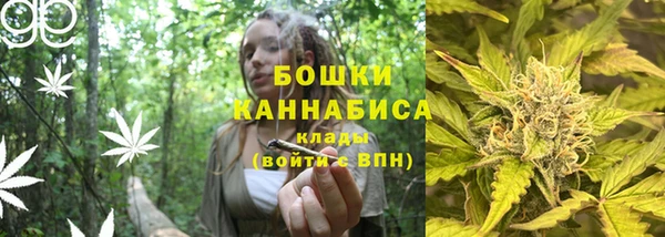 Альфа ПВП Вяземский