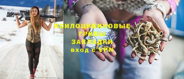 Альфа ПВП Вяземский
