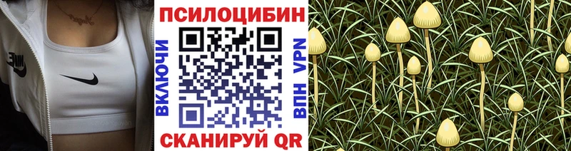 Псилоцибиновые грибы Psilocybine cubensis как найти наркотики Яровое